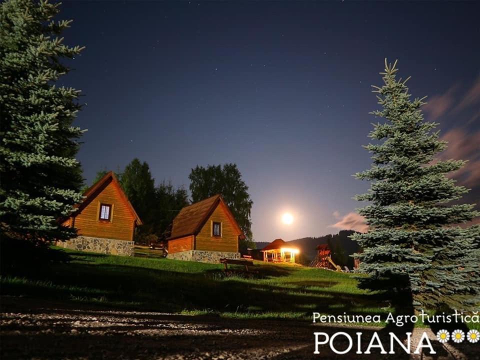 Pensiunea Agroturistica Poiana Poiana Negrii Bagian luar foto