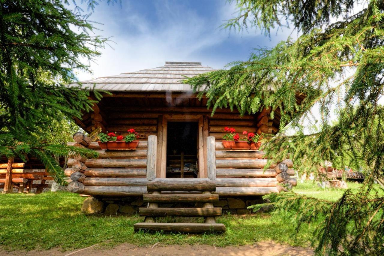 Pensiunea Agroturistica Poiana Poiana Negrii Bagian luar foto