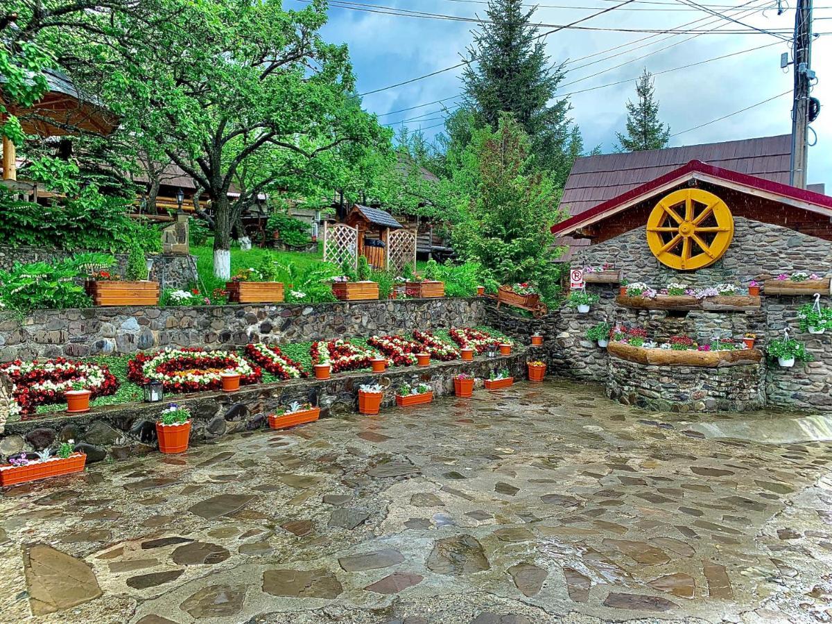 Pensiunea Agroturistica Poiana Poiana Negrii Bagian luar foto