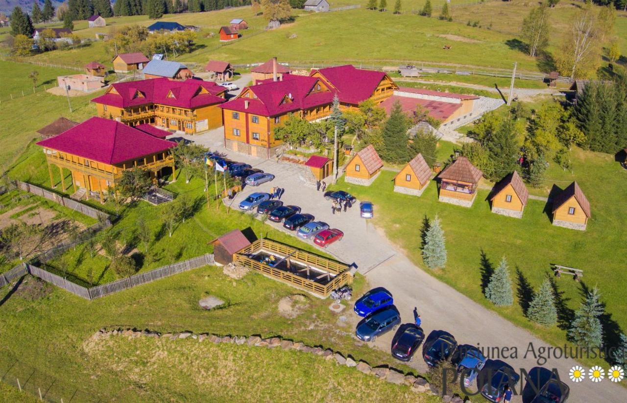 Pensiunea Agroturistica Poiana Poiana Negrii Bagian luar foto